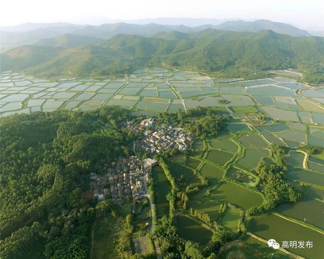 石洲乡发展规划概览，未来蓝图揭晓