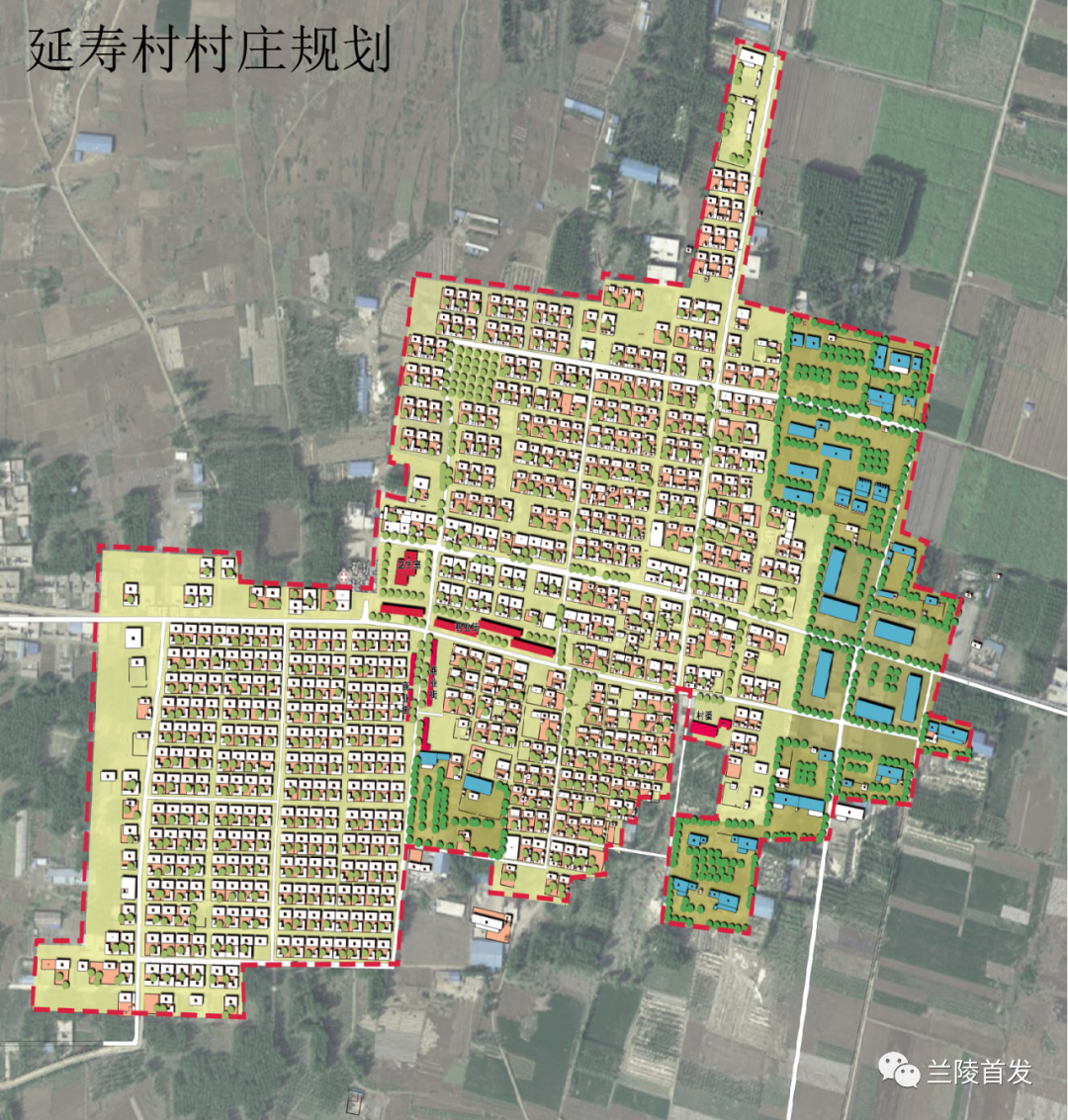 纪碾村发展规划揭秘，走向繁荣与和谐共生之路