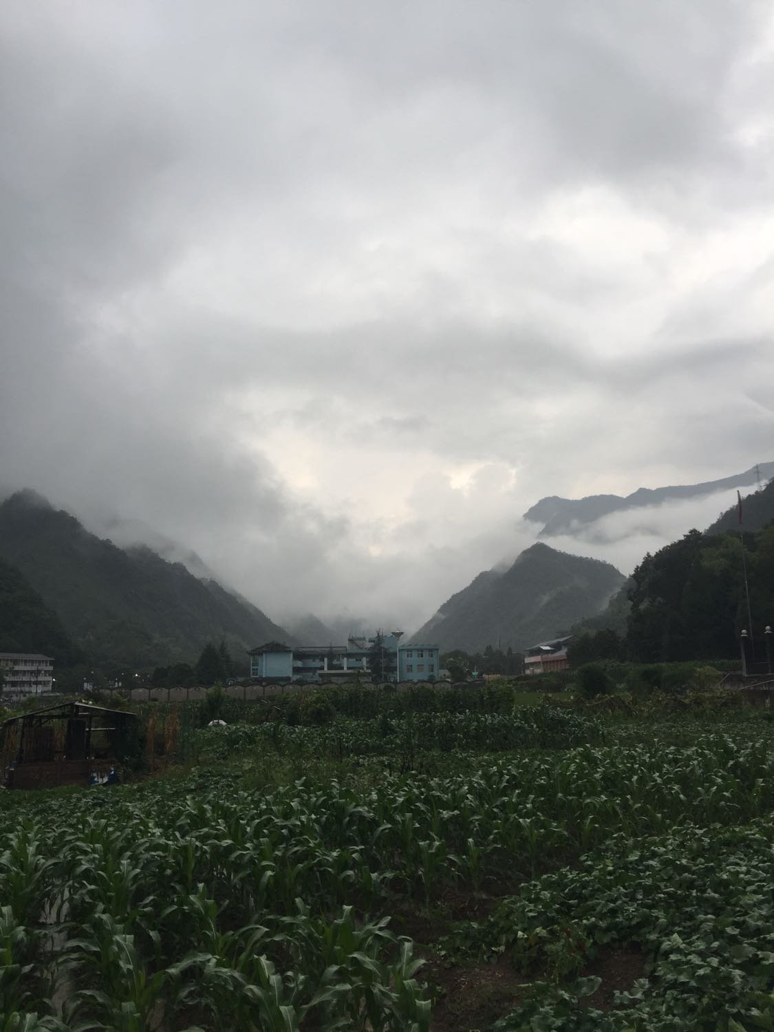 连池乡天气预报更新通知