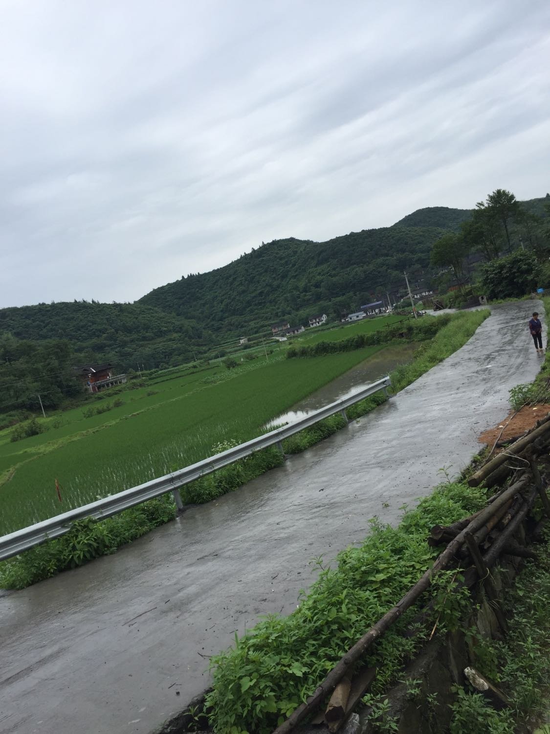 竹元乡天气预报更新通知